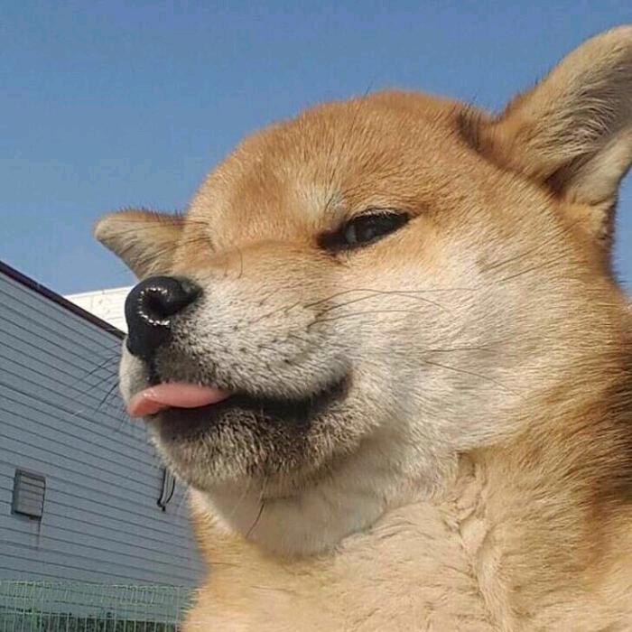六便士