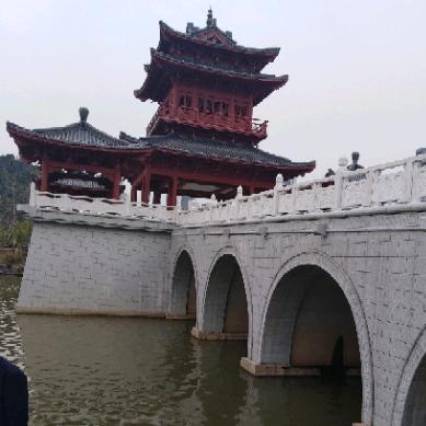北方雁