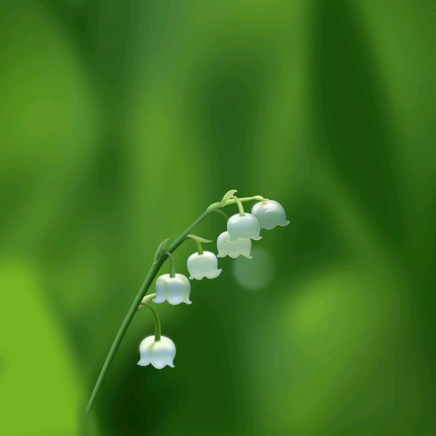 湖北武汉，拒连赞，拒私聊