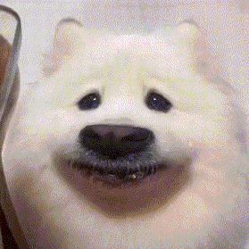 瑞纳锤