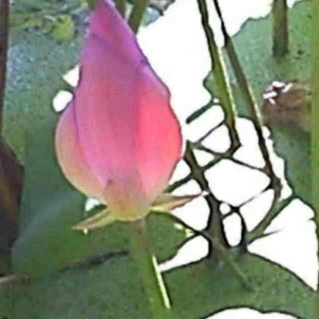 那个谁
