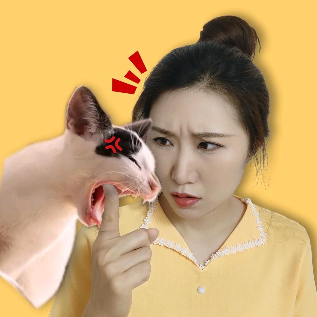 MeiMei奇思喵想