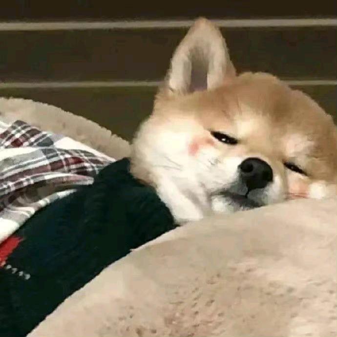 有李说不清