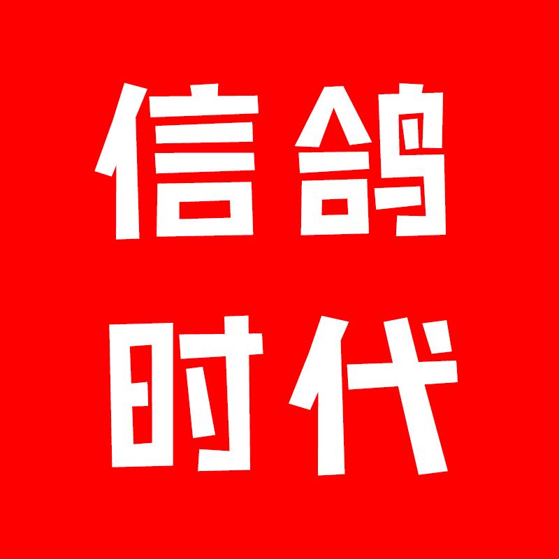 信鸽时代