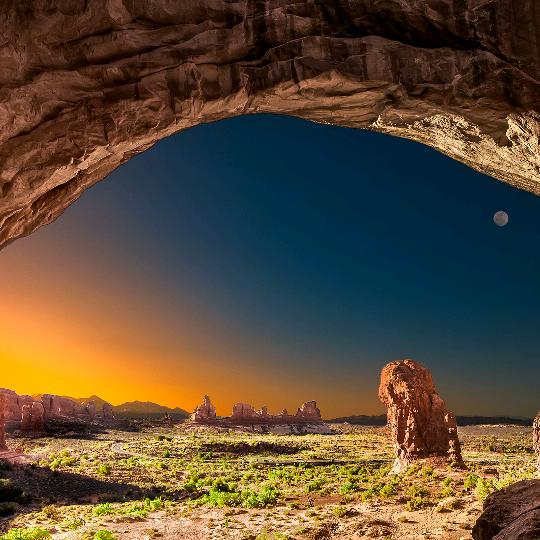 字字都是我愿意