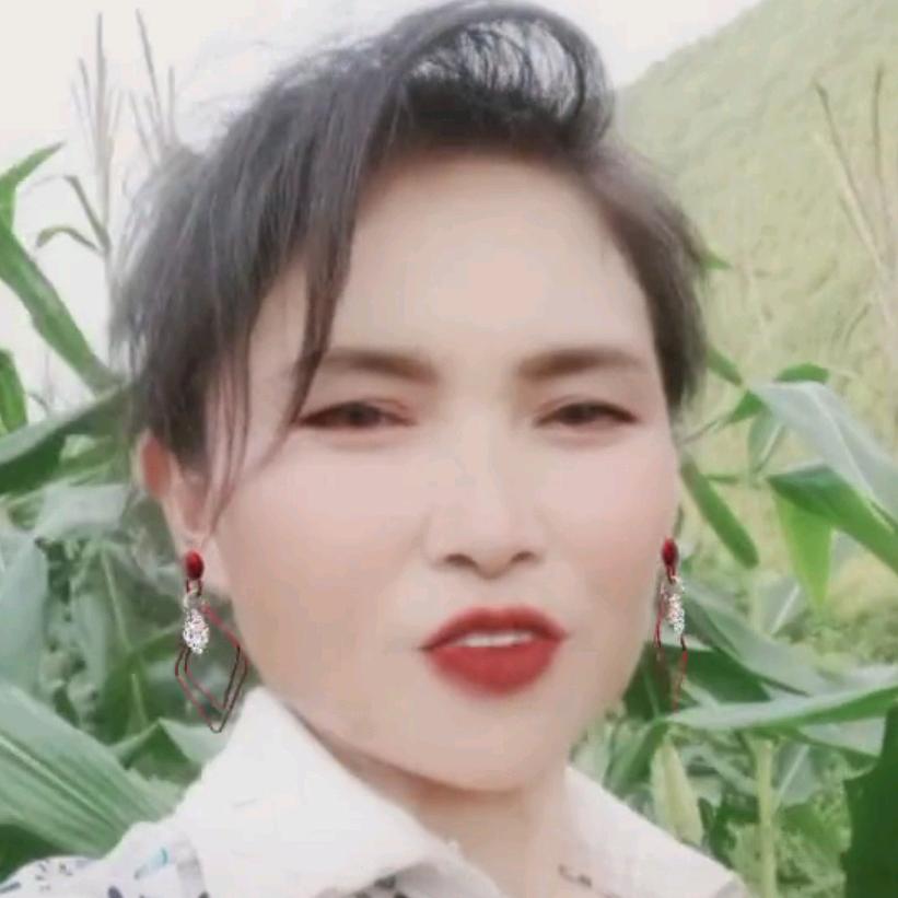 陈文先