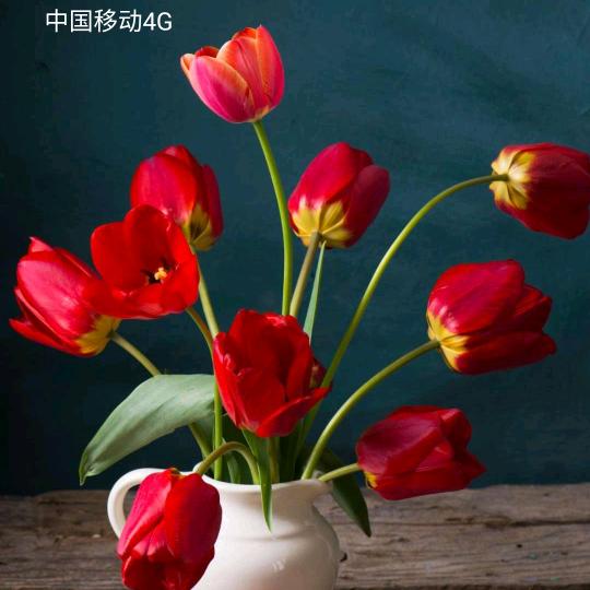 两个孩孑妈妈