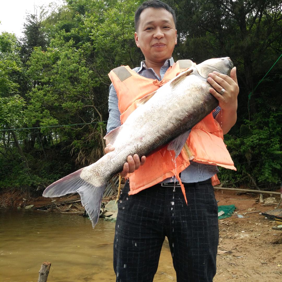 水产王子（江西鸿吉生物科技）福建区域