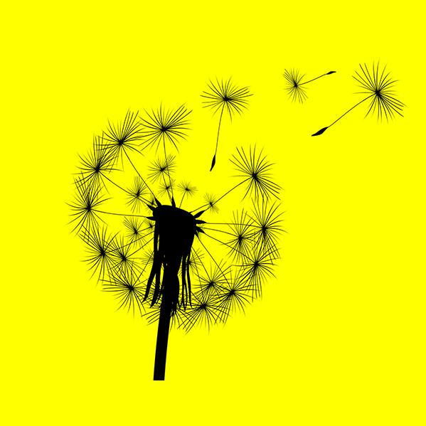 蒲公英电影