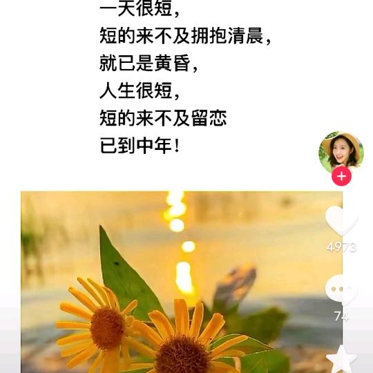 【   最美&不过初见  】