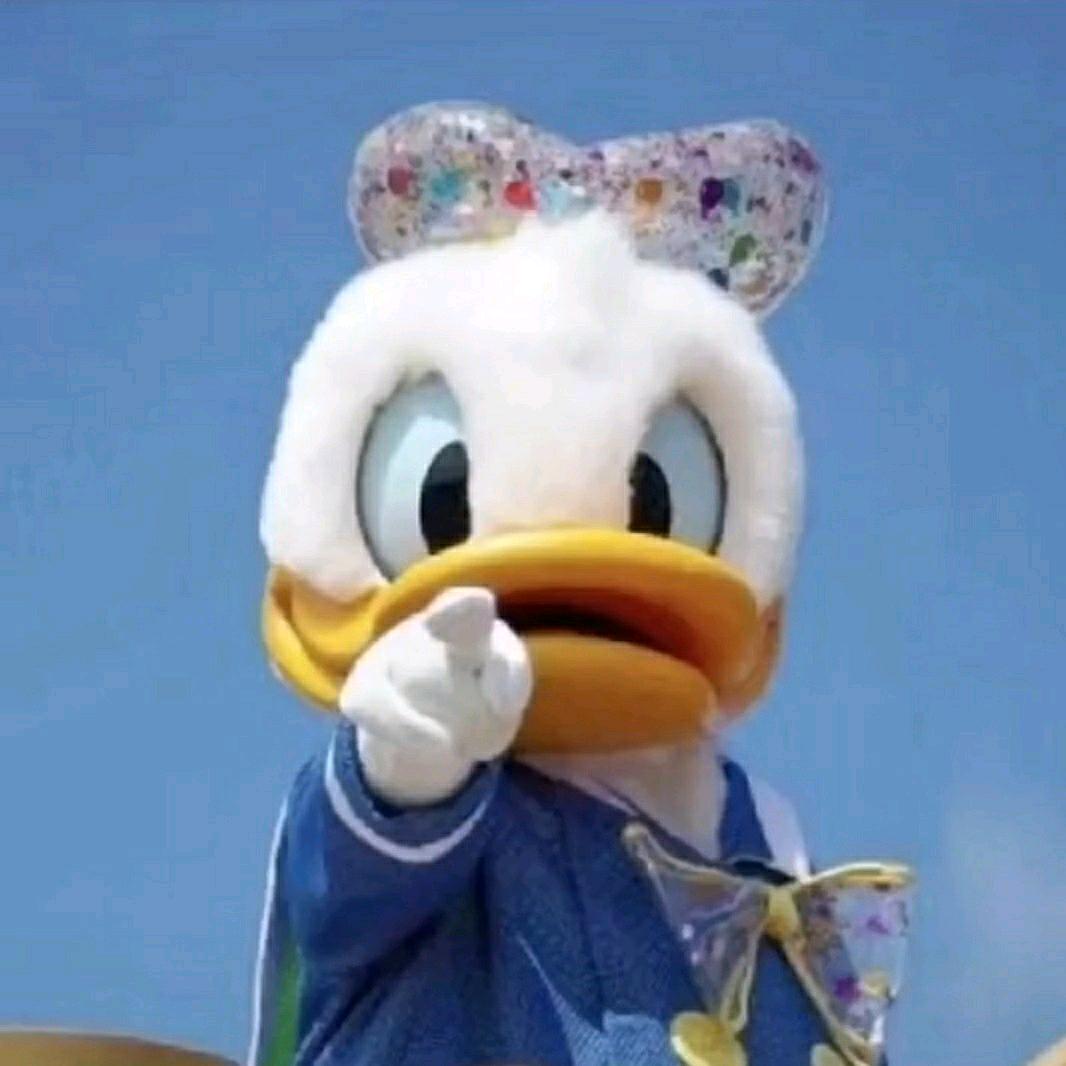 峰华宠物优品