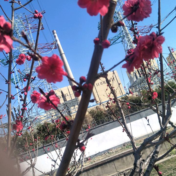 手机摄影