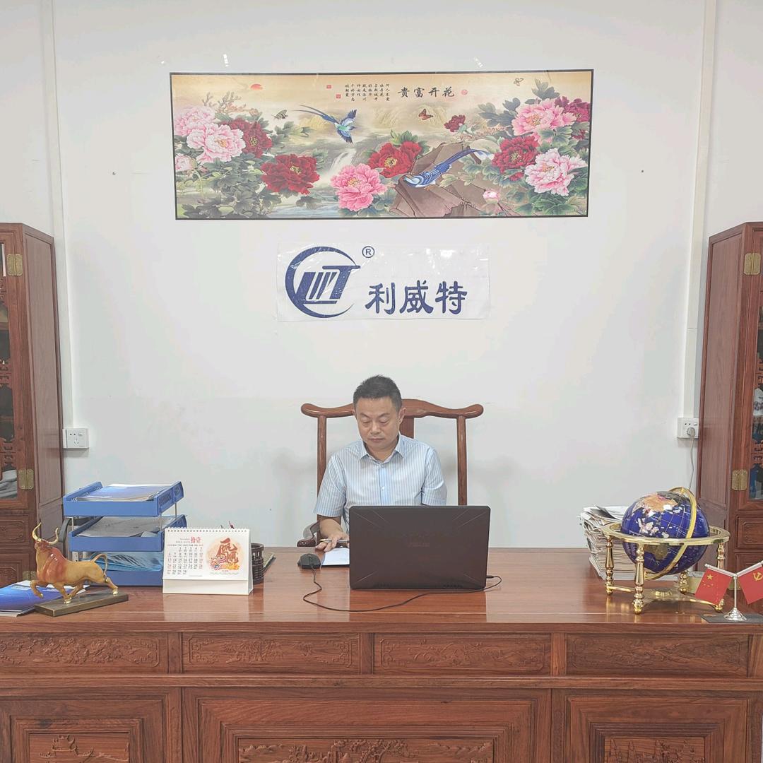 输送线生产厂家（利威特自动化）