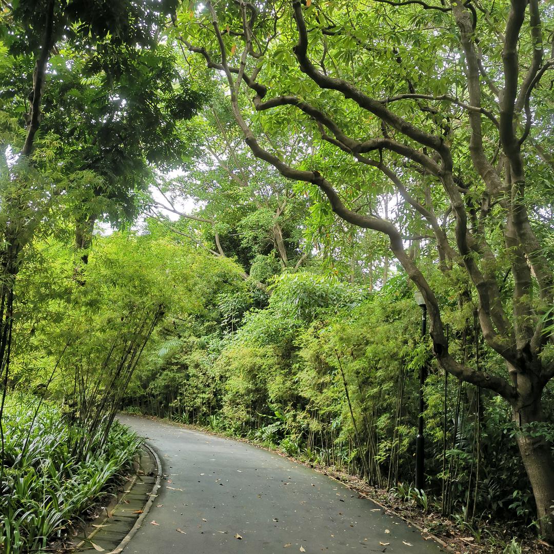 WANGZHI