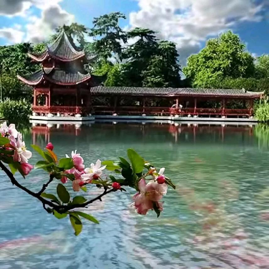 波哥.