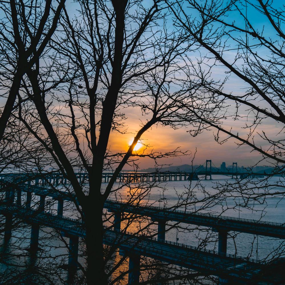 依旧美好📸