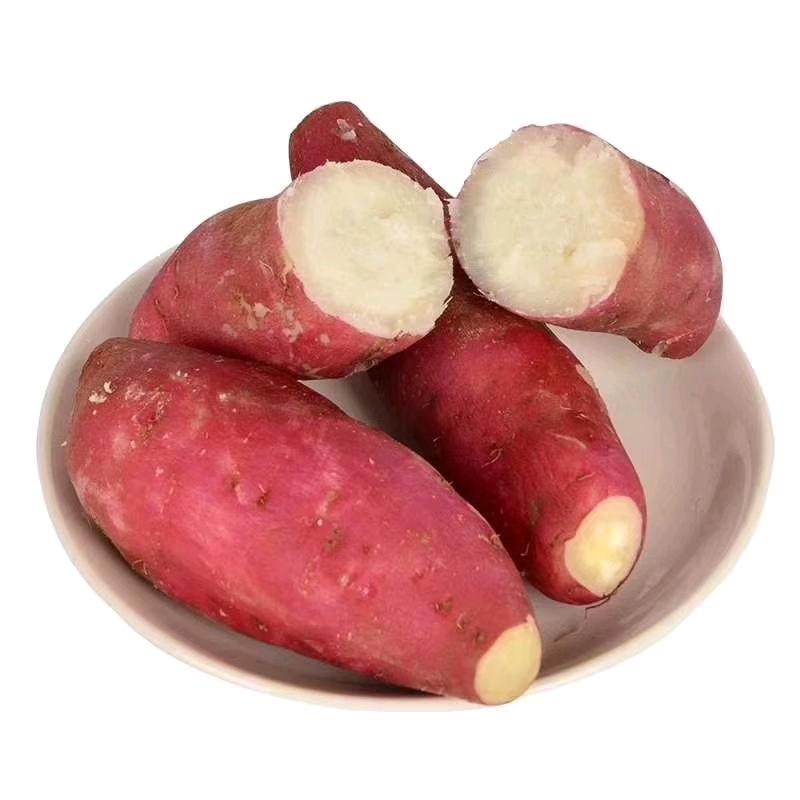 红薯家
