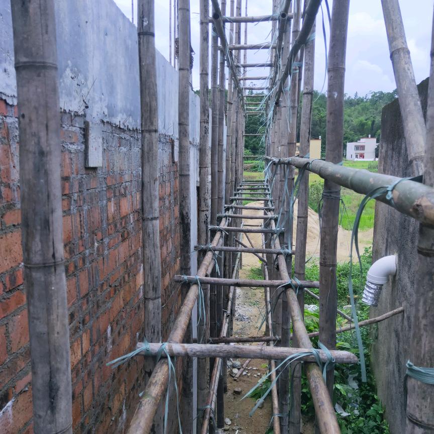 我是猪不是猴子