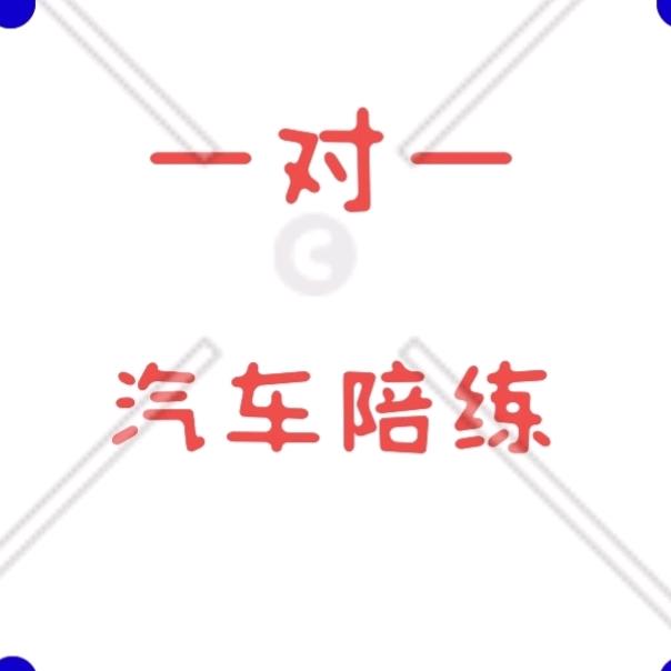 重庆骏速汽车陪练
