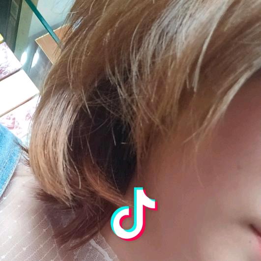 一只眠杨