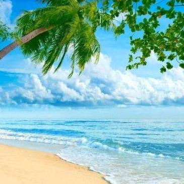 海洋
