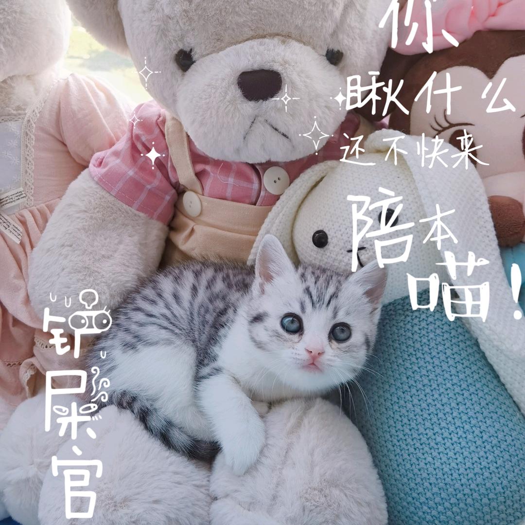 熙訾