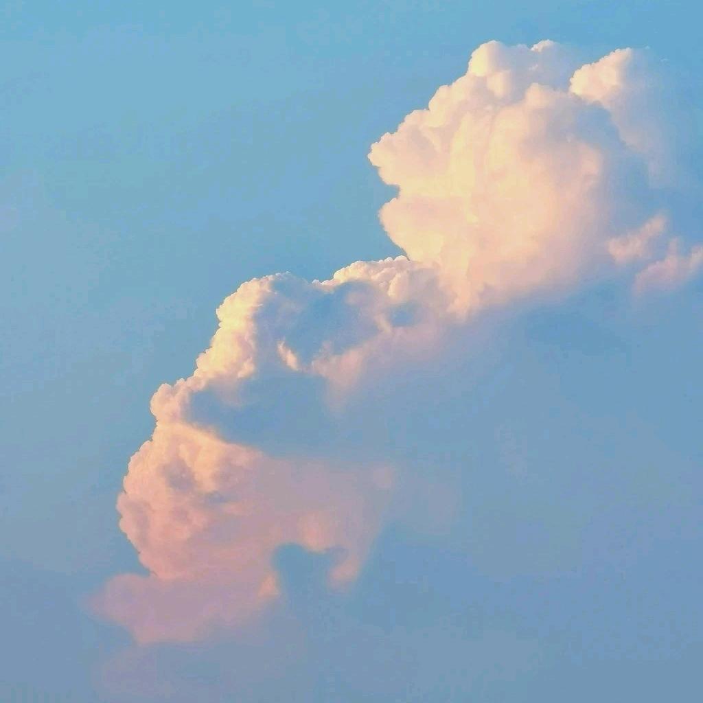 凉瓜