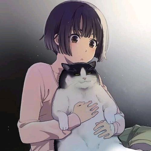 华雨剪辑