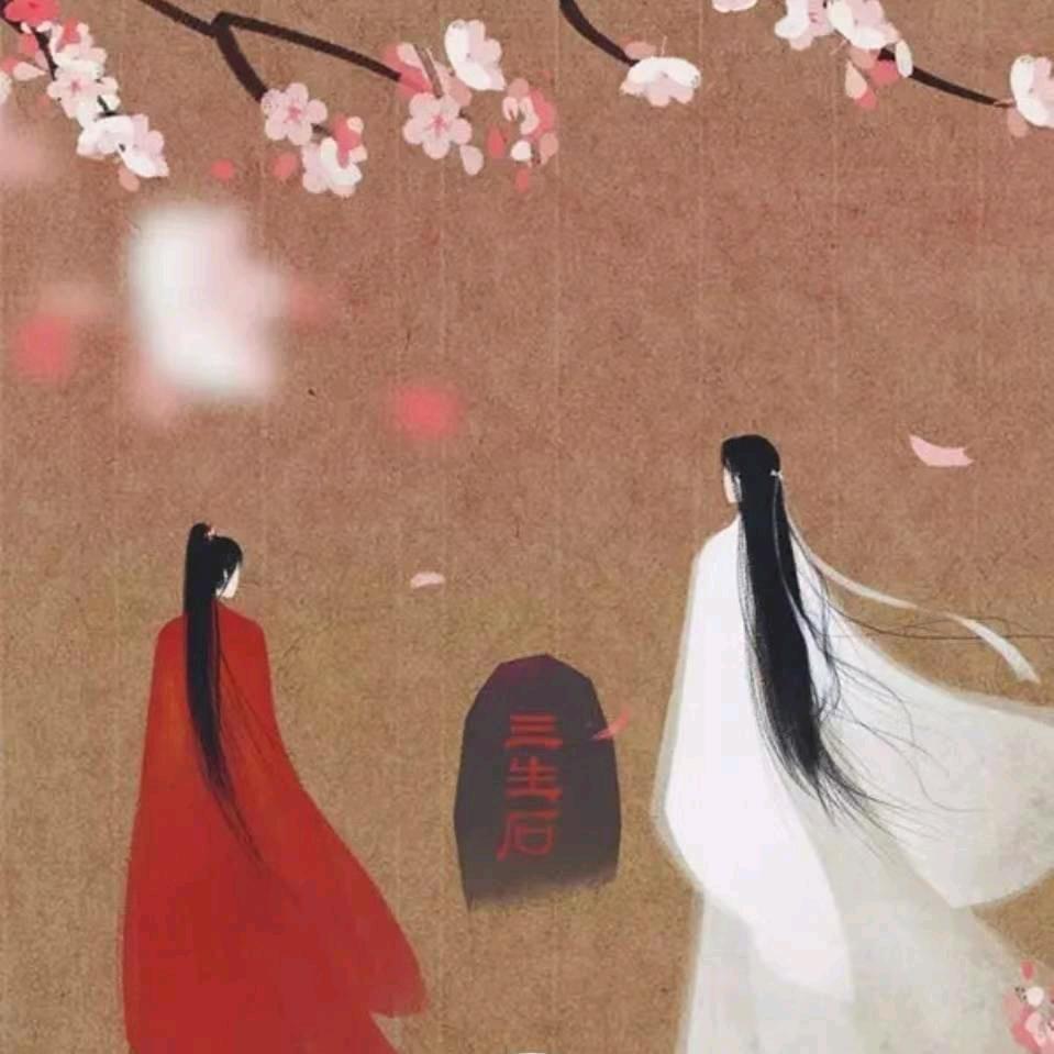 A-中午吃什么🌠🌠🌠