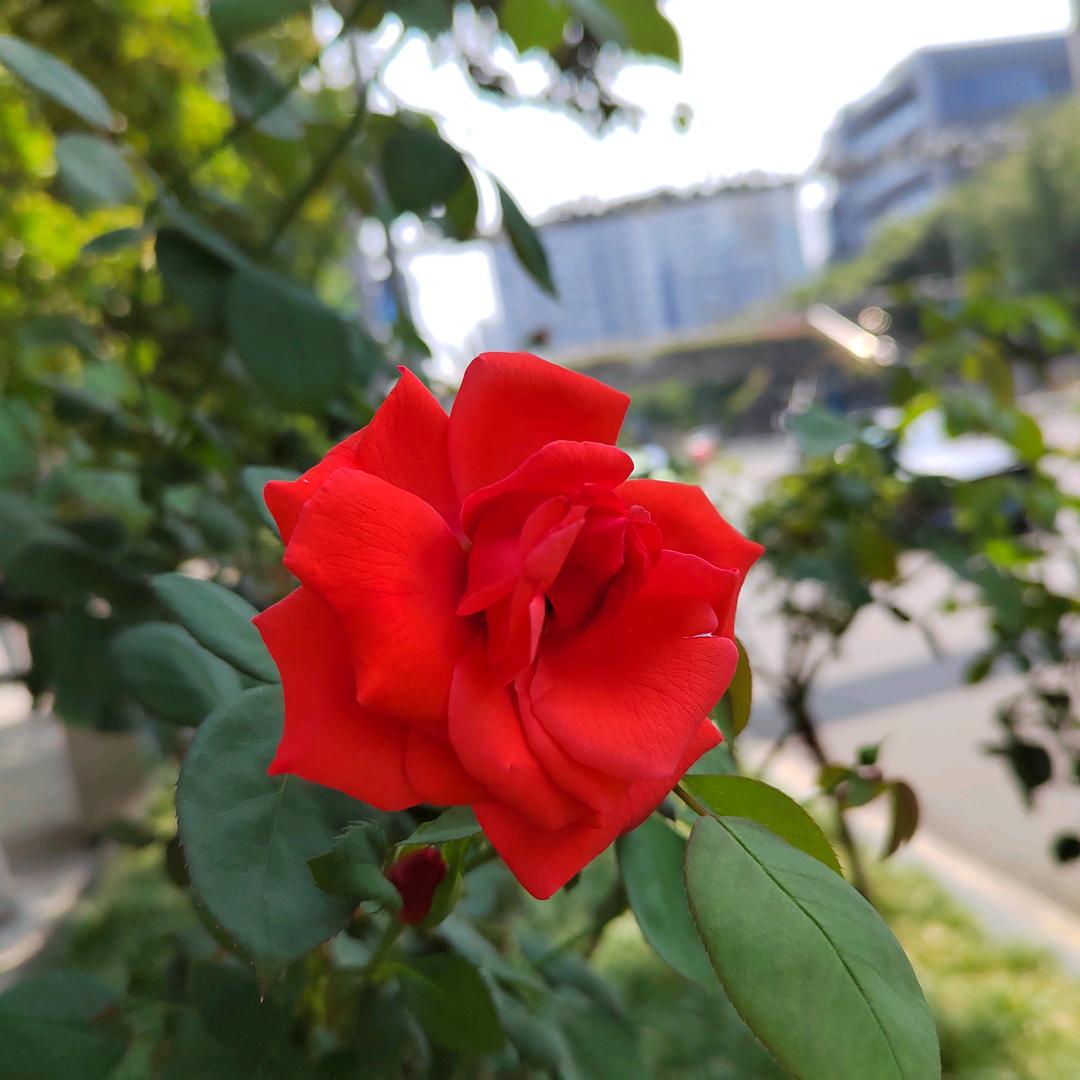 不能明白