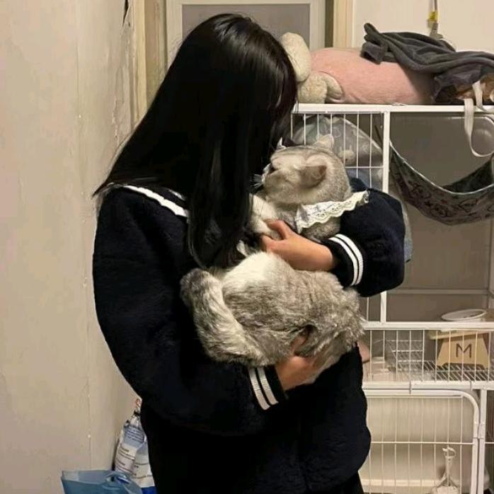 杨铁锤