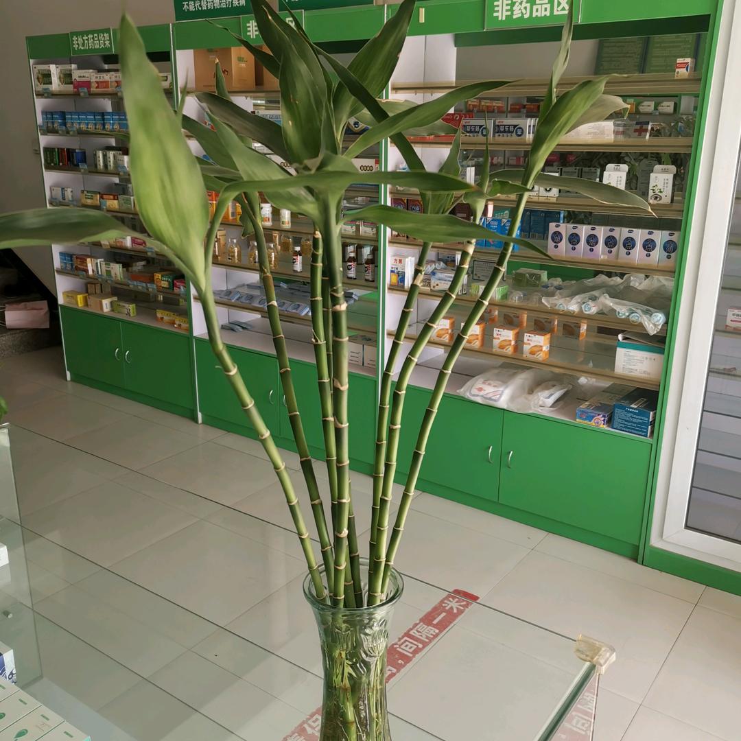 我是中医爱好者