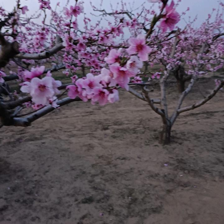 雨蒙蒙