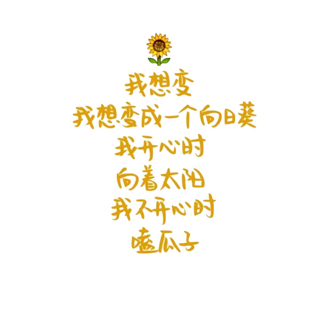 羊羊