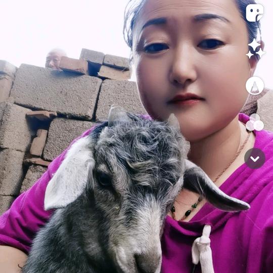 首羡中建放心羊肉店