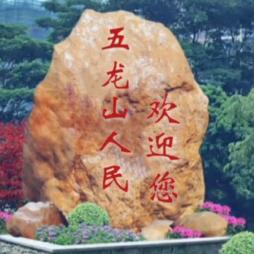 ✔小石