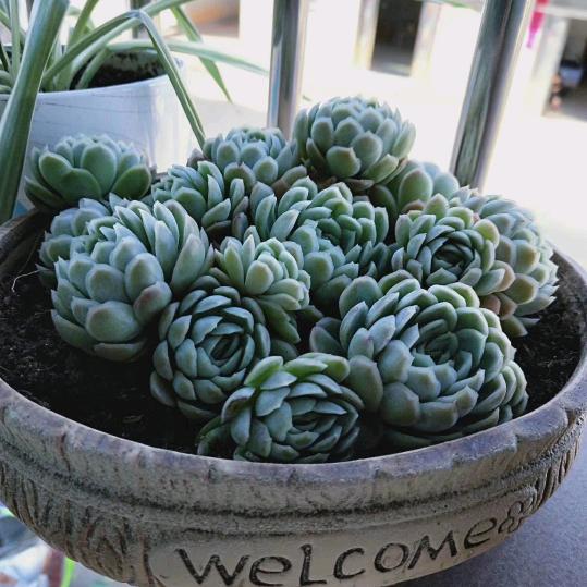 ୧⍤⃝ Lᵒᵛᵉ豆💞寳ღ᭄ꦿ࿐