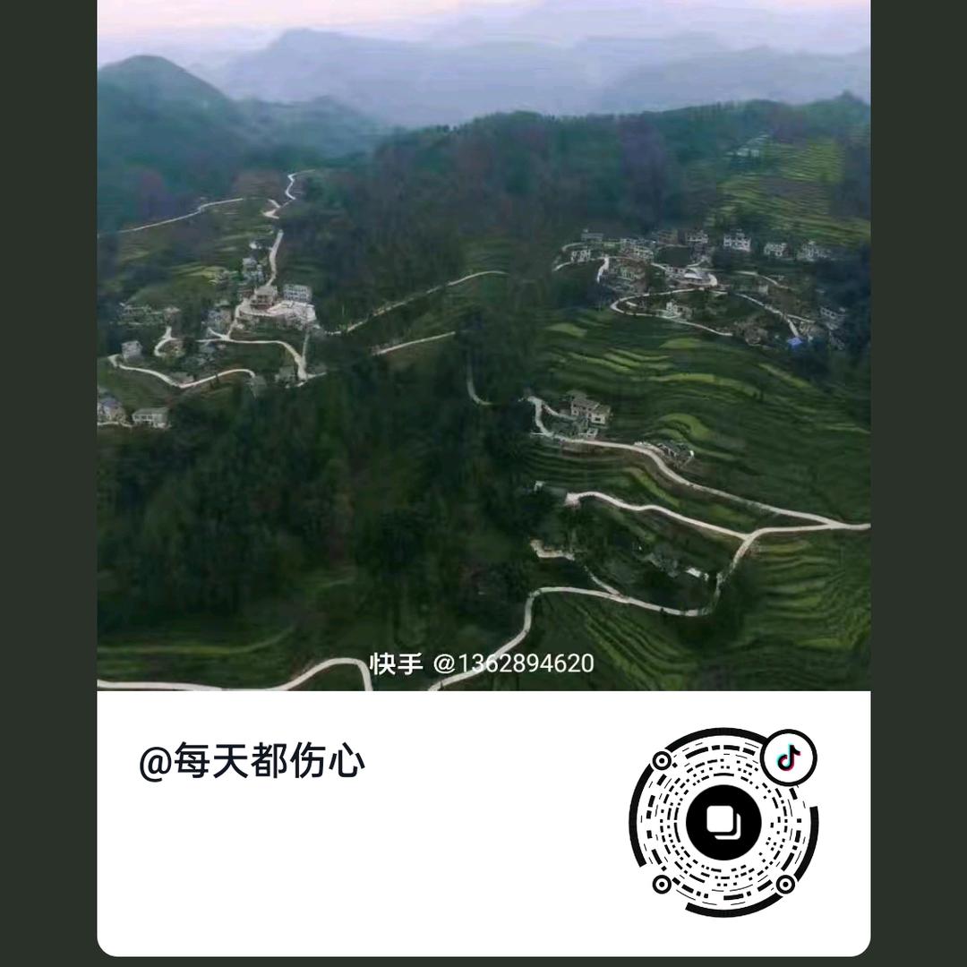 我是穷光蛋