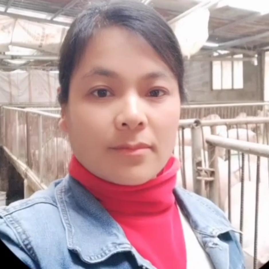 养猪🐷平凡人