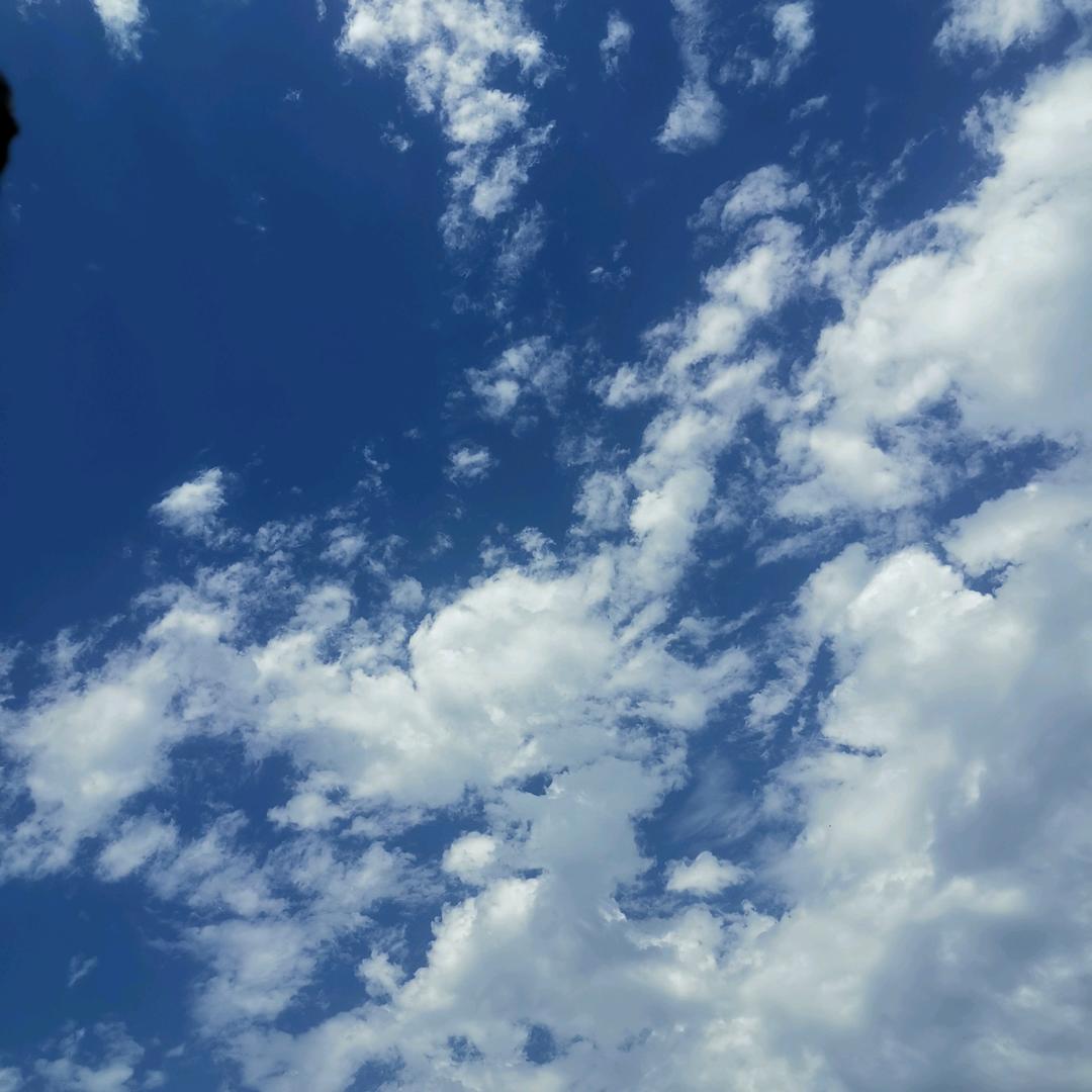 问世间，情为何物