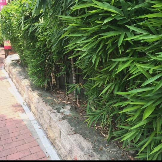 送货  每天都是循环