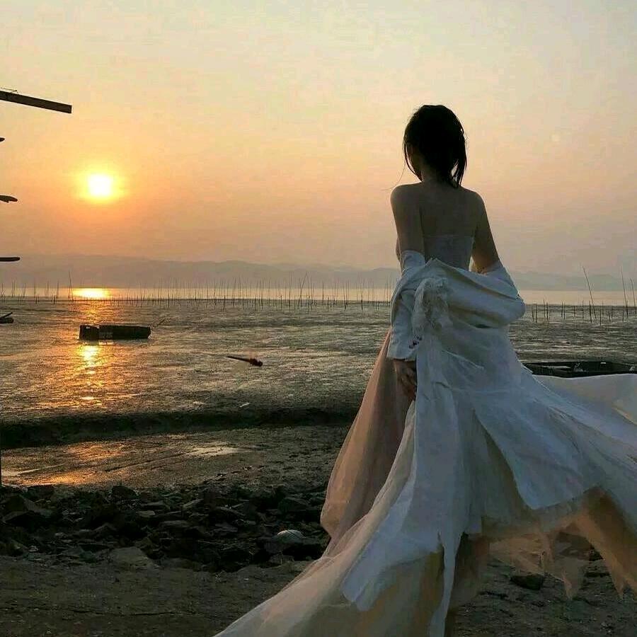 阿凤🌸_