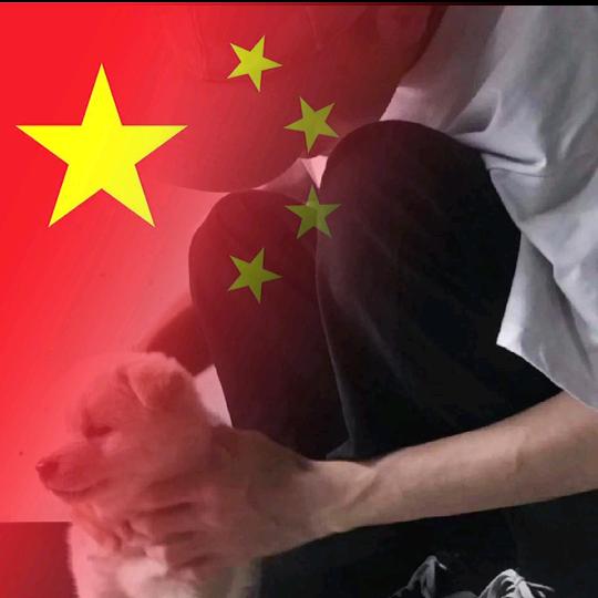 苟冬溪