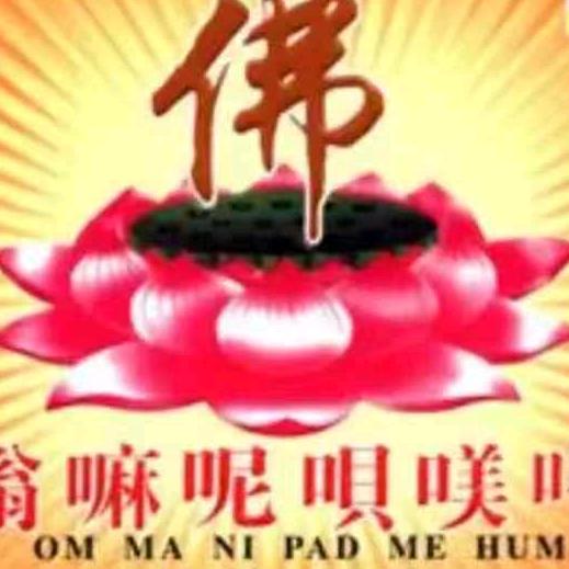 花开莲现：拒合拍、拒私聊🙏《请勿连赞》