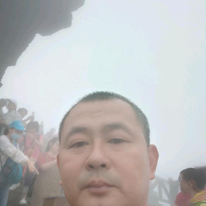 登平园林-机械挖树
