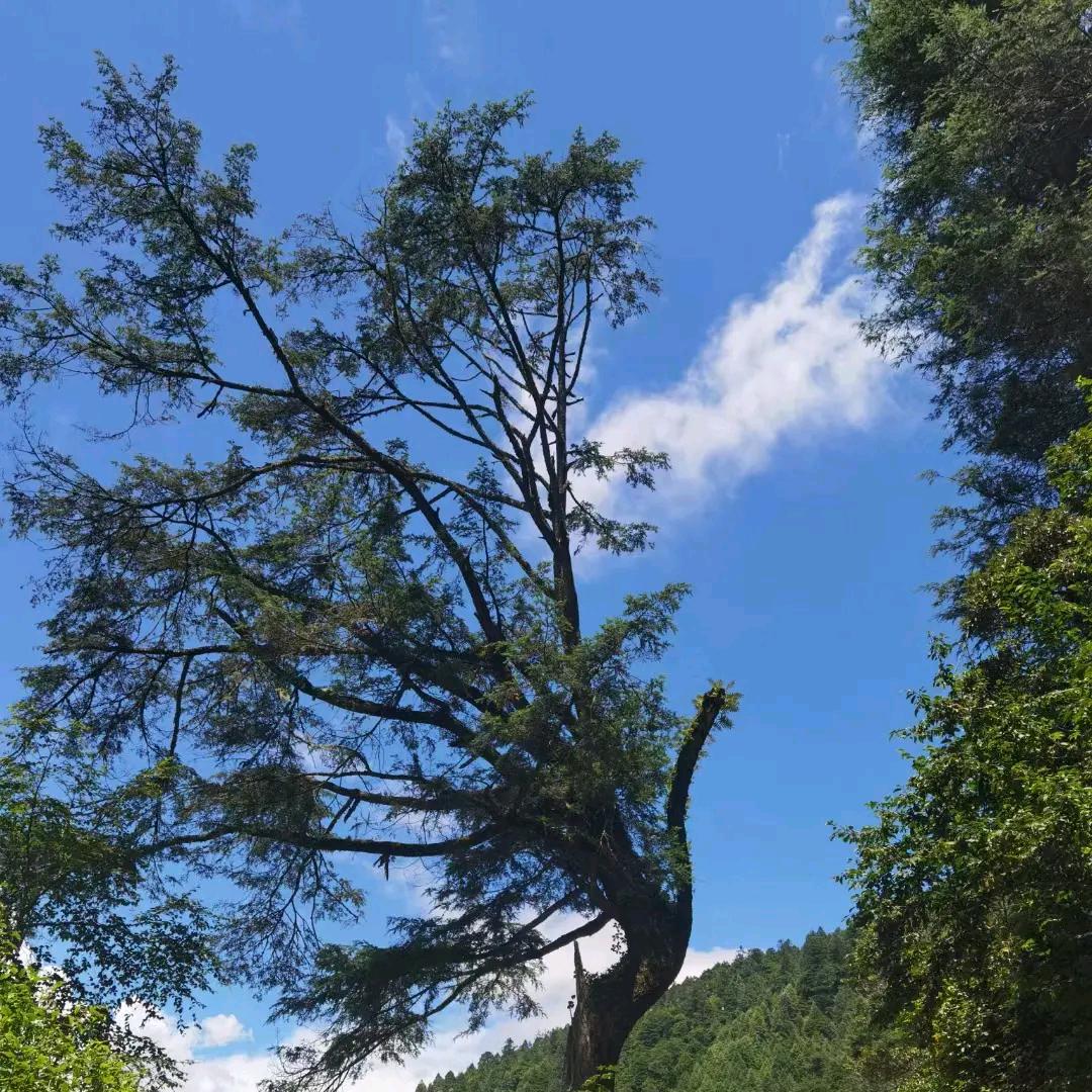 退伍不褪色ND