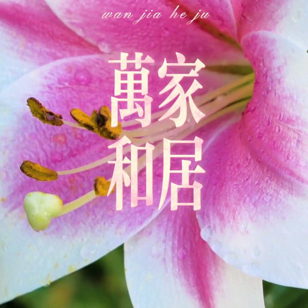 曹姐售房