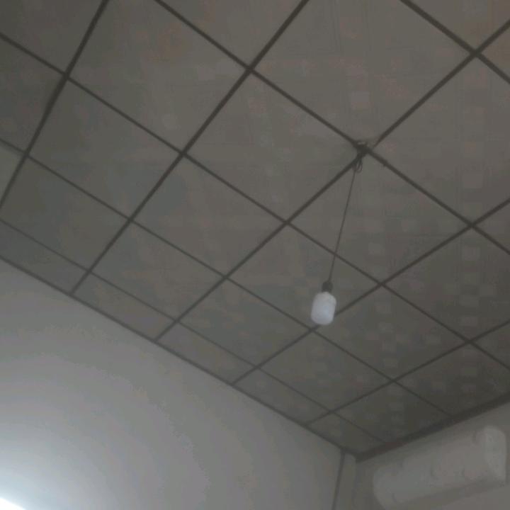 语文王\.。！u'orb