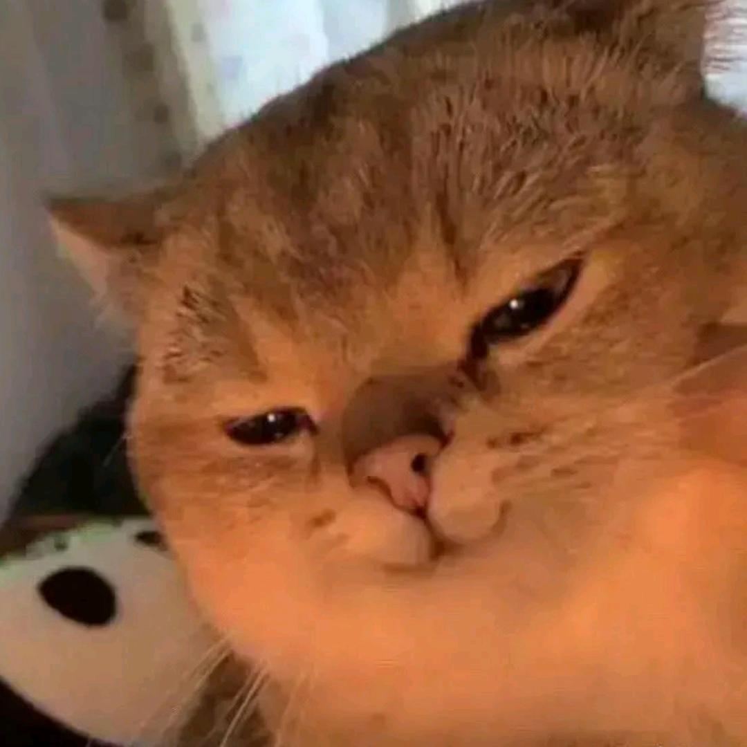 初见扇