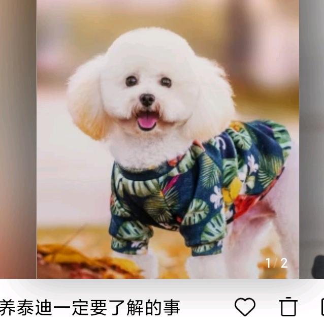 冰冰哥